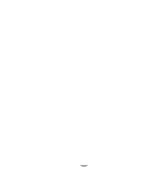 light bulb icon